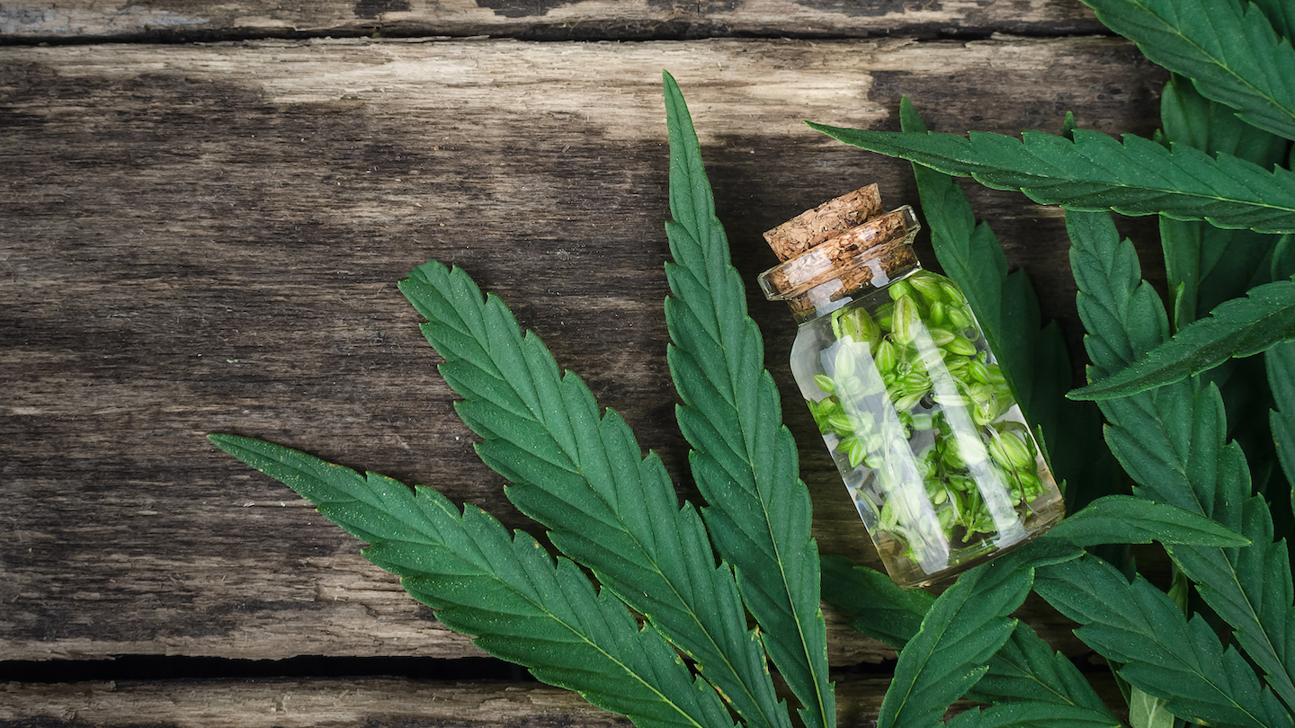 Se a cannabis pode ajudar pessoas, por que ser contra?