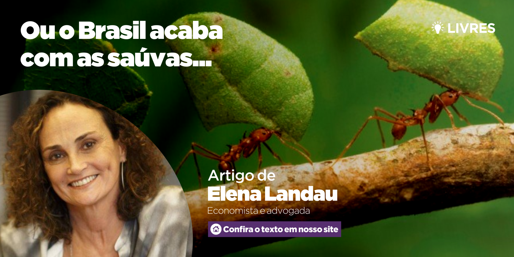 Ou o Brasil acaba com as saúvas…