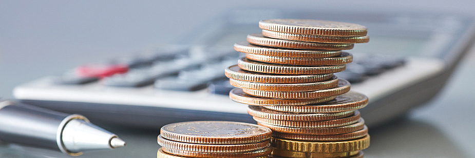 Ajuste fiscal causa crescimento ou o inverso?