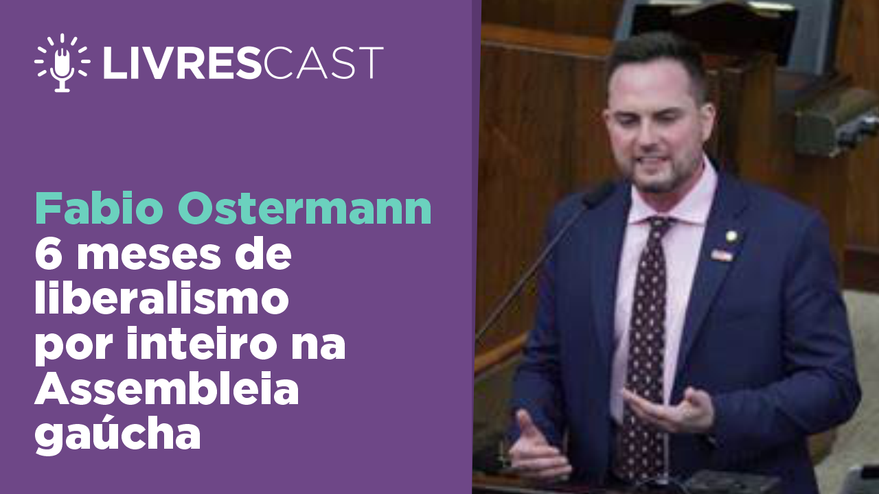 Fabio Ostermann: 6 meses de um liberal na Assembleia